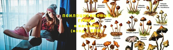mix Алзамай
