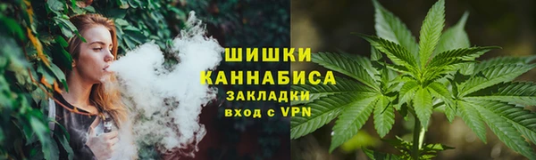 соль ск Алексеевка