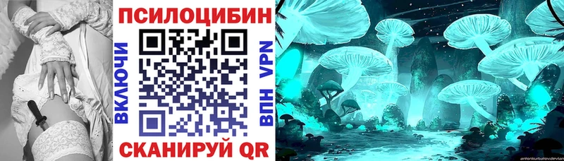 Псилоцибиновые грибы прущие грибы  mega маркетплейс  Алзамай 